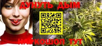 крисы Будённовск
