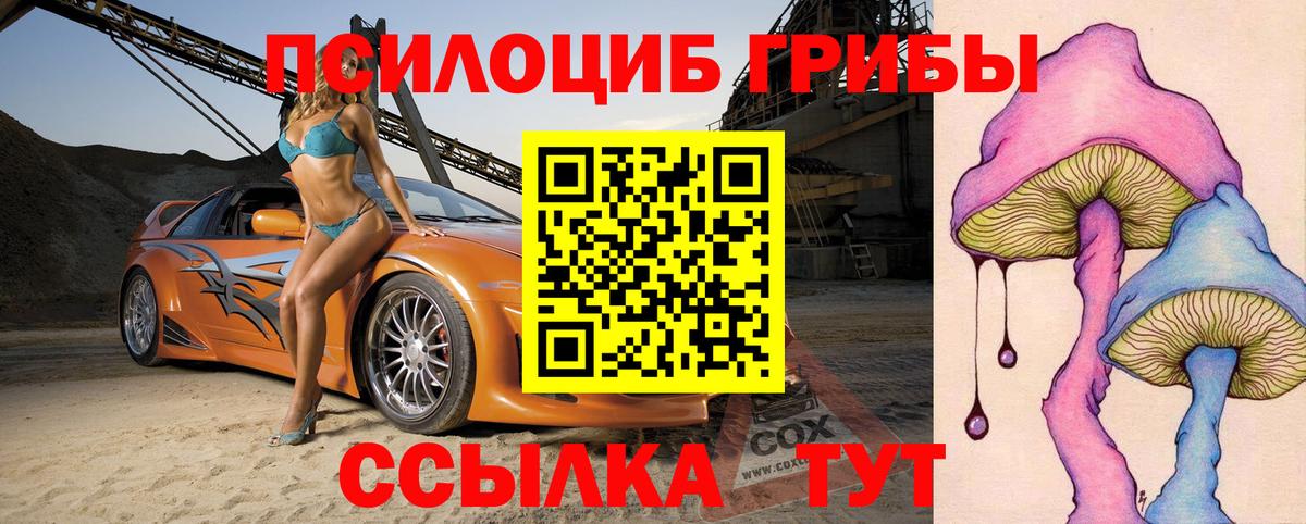 Галлюциногенные грибы Psilocybe  Псилоцибиновые грибы Psilocybe  Сальск  Вход с VPN 